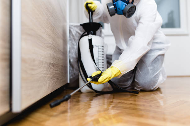 Professional Pest Control in Kendall West, FL