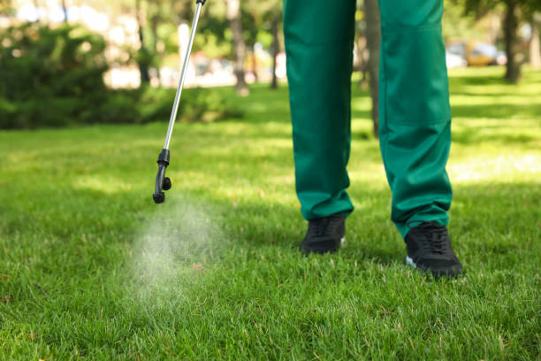 Bird Control in Kendall West, FL
