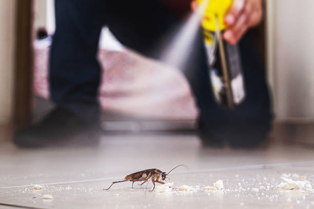 Best Bed Bug Extermination  in Kendall West, FL