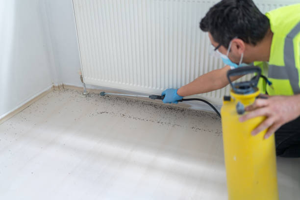 Best Termite Control Services  in Kendall West, FL